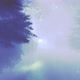 Illusive Wood - VideoHive Item for Sale