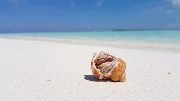 Luxury overhead copy space shot of a sunshine white sandy paradise beach and aqua turquoise water ba