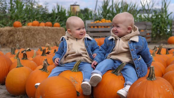 Baby Twins Sitting on Pumpkins and Laughing at Pumpkin Patch. Happy Childhood Concept