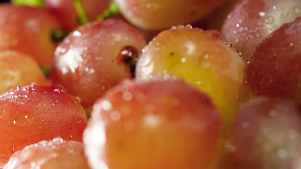 Dolly Video of Fresh Grapes Covered in Water Droplets or Dew