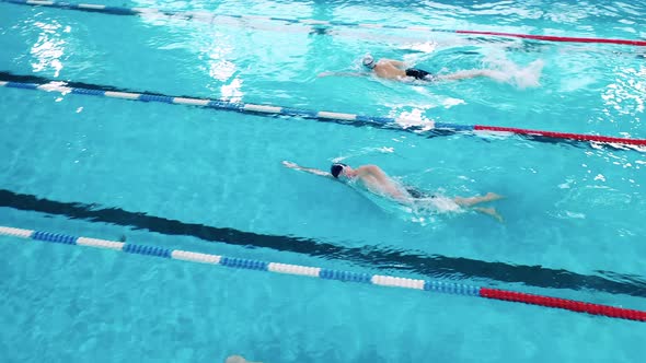 Top View of Swimmers Training in a Pool