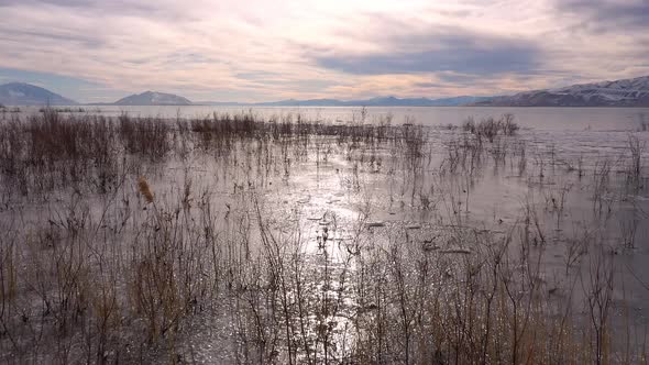 Flying over frozen lake in winter over along shoreline of bushes