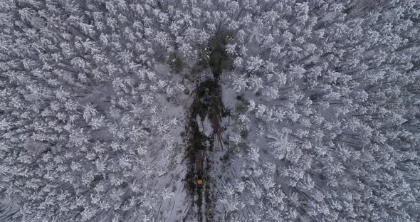 Top down Aerial view of harvester logging a trees in the winter forest 40