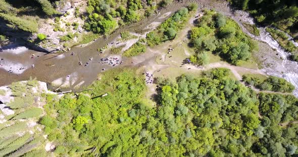 Coniferous Trees Rise From Depths of Mountain Lake