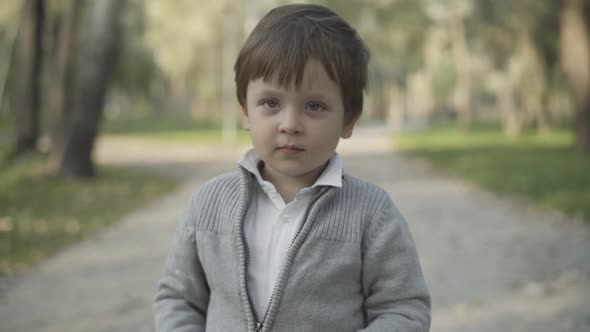 Portrait of Charming Little Boy Standing on Park Alley Smiling