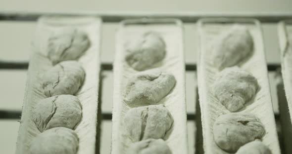 Bread Dough With Flour For Baking In The Bakery Kitchen - selective focus