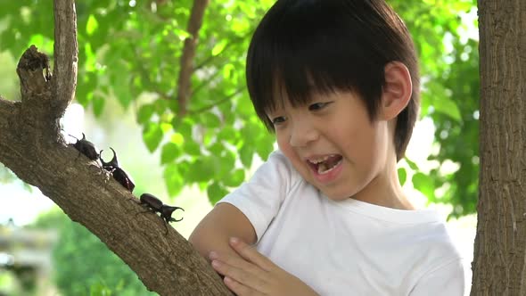 Cute Asian Child Looking Through A Magnifying Glass At A Rhinoceros Beetle In The Forest