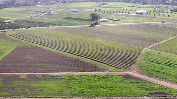 Aerial View of a Plantation in Australia