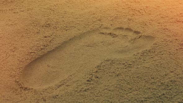 Foot Print In The Sand At Sunset
