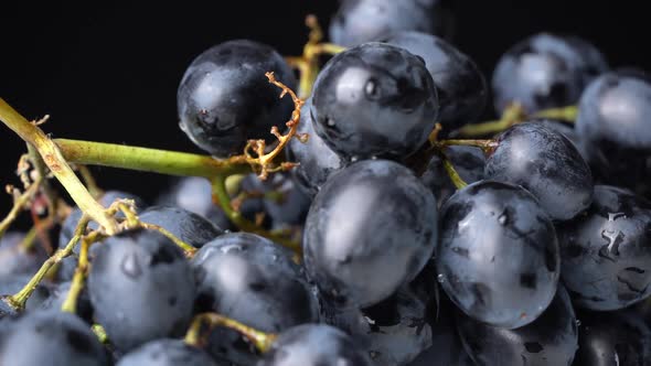 A Bunch of Blue Wet Grapes Spinning Slowly