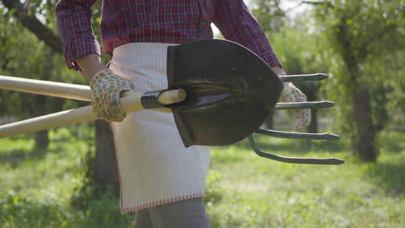 Professional Farmer in Garden Gloves Walking Through the Garden with a Shovel and Pitchfork in Hands