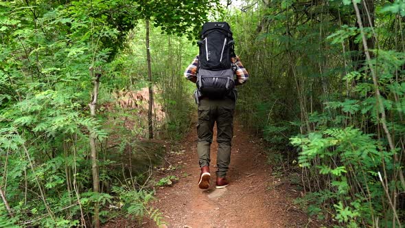 slow-motion of man traveler with backpack walking and looking in the natural forest