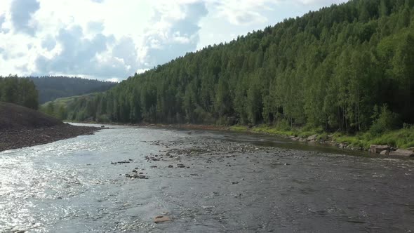 forest landscape flying over flowing water, forest