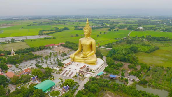 Aerial view of the Giant Golden Buddha in Wat Muang in Ang Thong district with paddy rice field