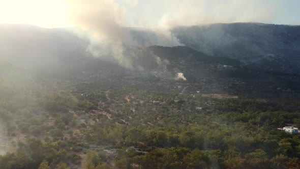 Burning Forest in Mersin Province Turkey