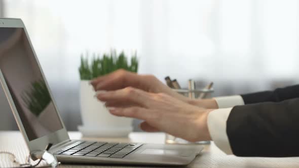 Business Woman Opening Laptop Computer and Answering E-Mail, Office Work