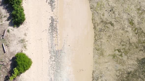 Zanzibar Tanzania  Vertical Video of Low Tide in the Ocean Near the Coast Slow Motion