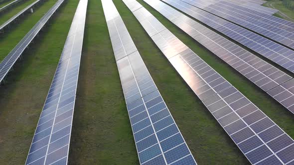 Solar Panels in Rows on the Field