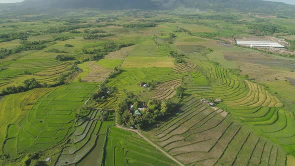 Mountain Valley Farmlands Philippines