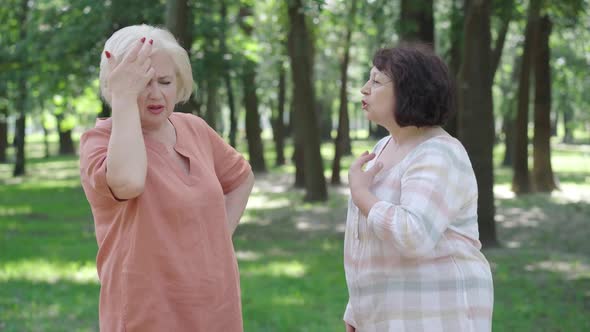 Conflict of Senior Caucasian Women in Sunny Park. Side View Portrait of Annoyed Female Retirees