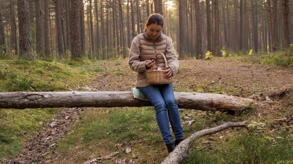Woman with Mushrooms in Basket in Autumn Forest