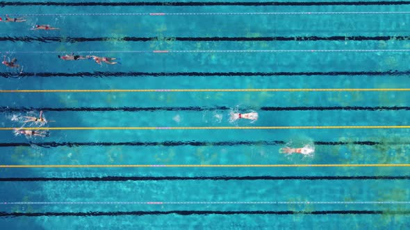 Aerial View of Group of Swimmers Training in Swimming Pool