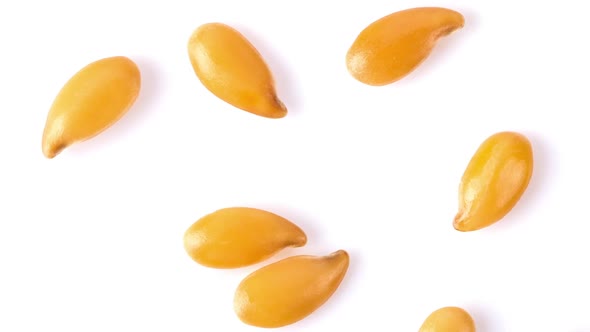 Panning flax seeds isolated on white background