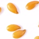 Panning flax seeds isolated on white background - VideoHive Item for Sale