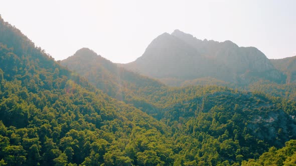 Green Mountains Hills Covered with Dense Forests