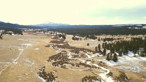 Aerial view of Pikes National Forest in the Winter.