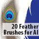 20 Vector Feather Brushes for Adobe Illustrator - GraphicRiver Item for Sale