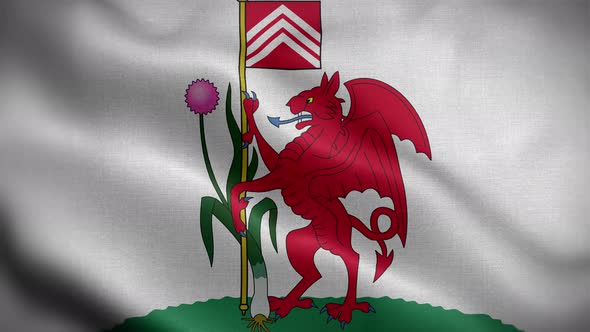 Cardiff UK Flag Loop Background 4K