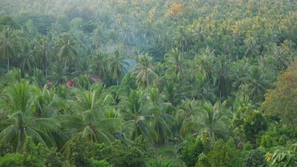 Landscape of the Island From a High Point