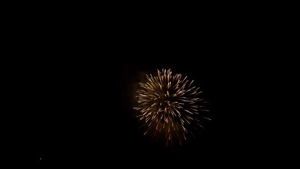 Fireworks 195