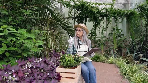 Woman in Straw Hat which Writing Marks Into Papers while Sitting on Concrete Parapet in Greenhouse