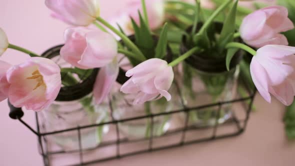 Light pink tulips on a pink background