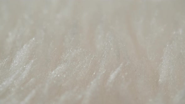 White Fur Closeup Wool