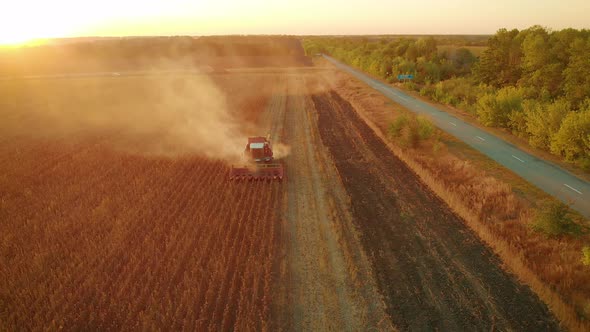 Aerial View Combine Harvesting on Sunflower Field, Mechanized Harvesting Sunflower