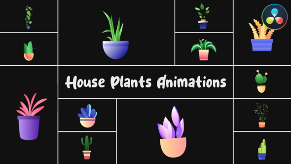 House Plants Animations for DaVinci Resolve