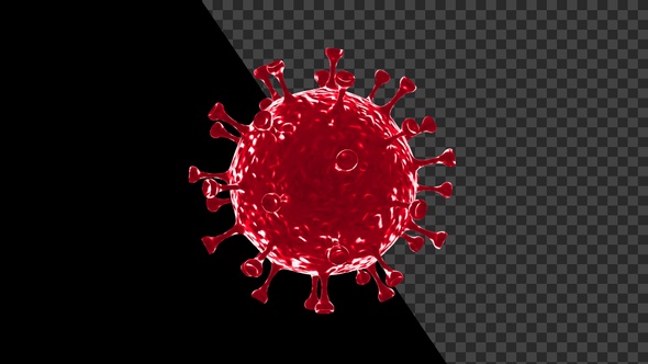 Corona Virus Visualization Covid 19 V11