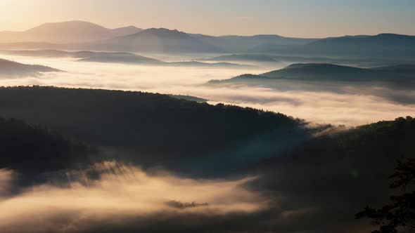 Fog Flowing Over River Forest in Mountains in Morning