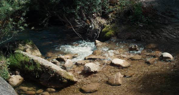 Flowing Mountain River Water on Sunny Day