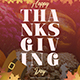 5 Thanksgiving Posts and Stories - VideoHive Item for Sale