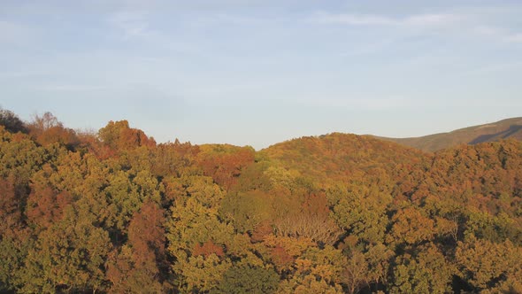 Aerial view of hills mountain range with thick forestry