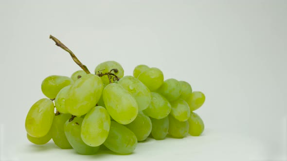 Vine Of Grapes