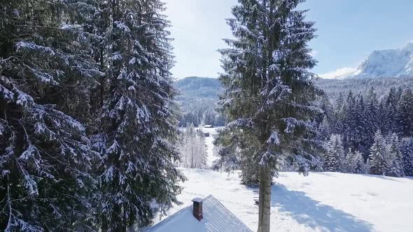 Flight trough trees and over winter landscape, Elmau, Bavaria, Germany