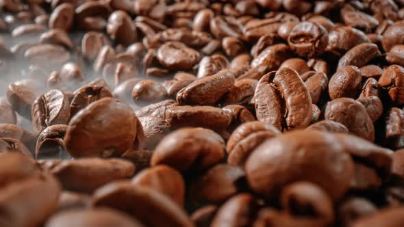 Close Up of Seeds of Coffee