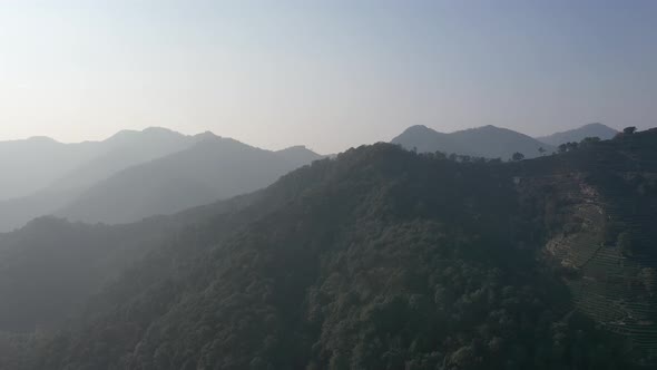 Tea plantation in mountain