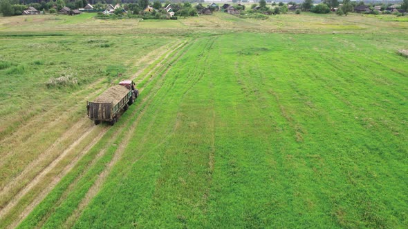 Tractor Carries the Mown Grass Across the Field