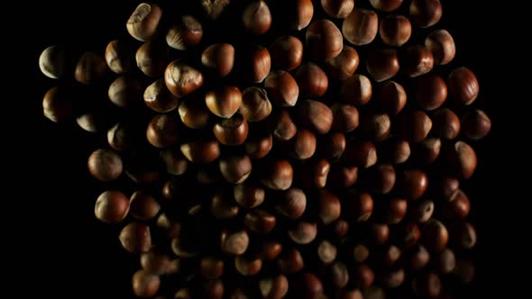 Hazelnuts Flies After Being Exploded. Pile of Tree Nuts Bouncing Against Camera and Falling Down